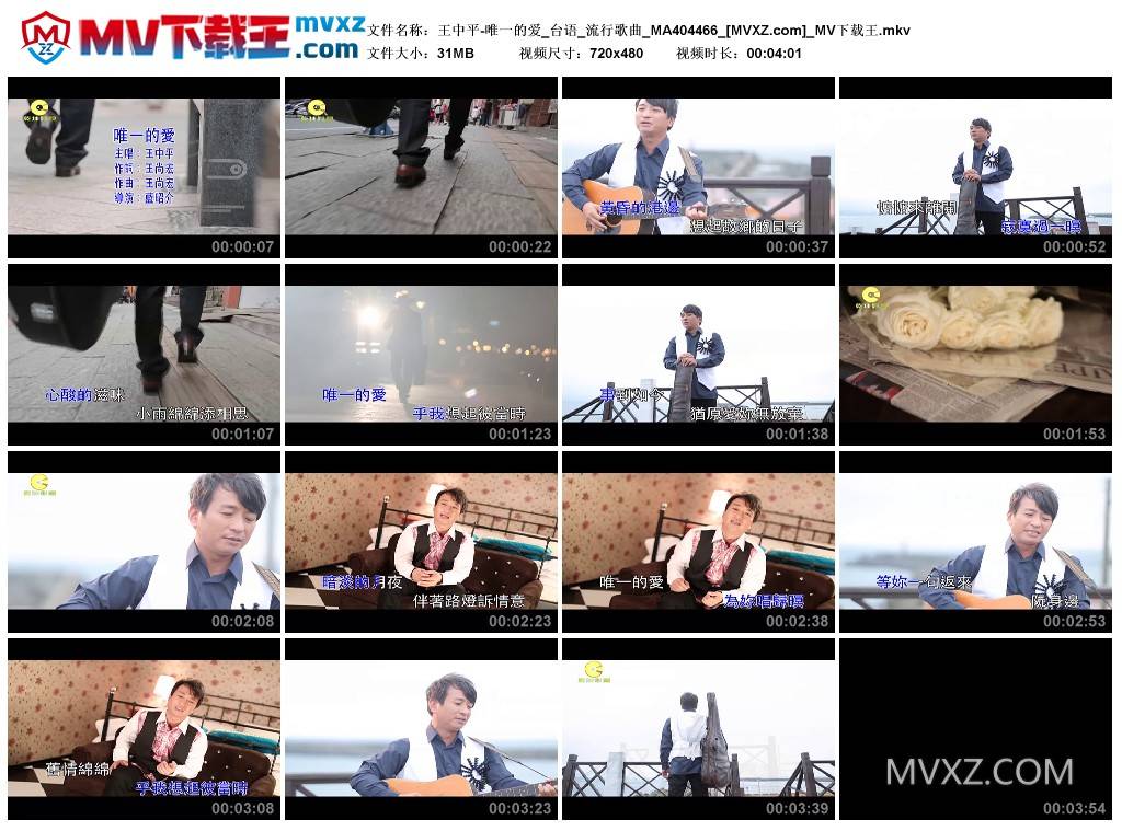 王中平-唯一的爱_台语_流行歌曲_MA404466